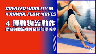 動物流伸展運動？提高身體流動性、關節靈活度 Greater Mobility in 4 Animal Flow Moves🐆🦀🦂 ｜ 【伸展運動 EP.2】Titan 24 Hours Fitness