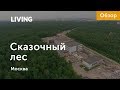 ЖК «Сказочный лес»: отзыв Тайного покупателя. Новостройки Москвы