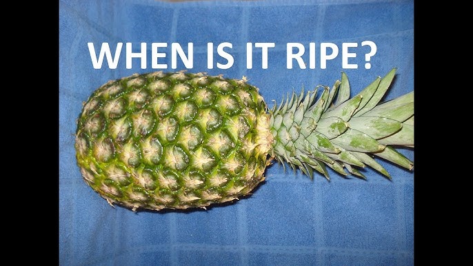 How to Ripen a Pineapple - The Foodie Physician