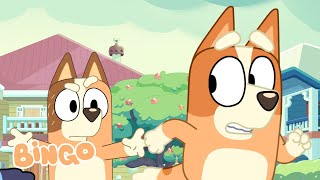 Happy Halloween with Bingo! 🎃 | Bingo - Official Channel