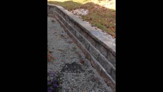 IMG 04631