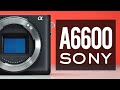 YOU SHOULD BUY the Sony a6600 AND HERE IS WHY!!!