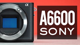 YOU SHOULD BUY the Sony a6600 AND HERE IS WHY!!!