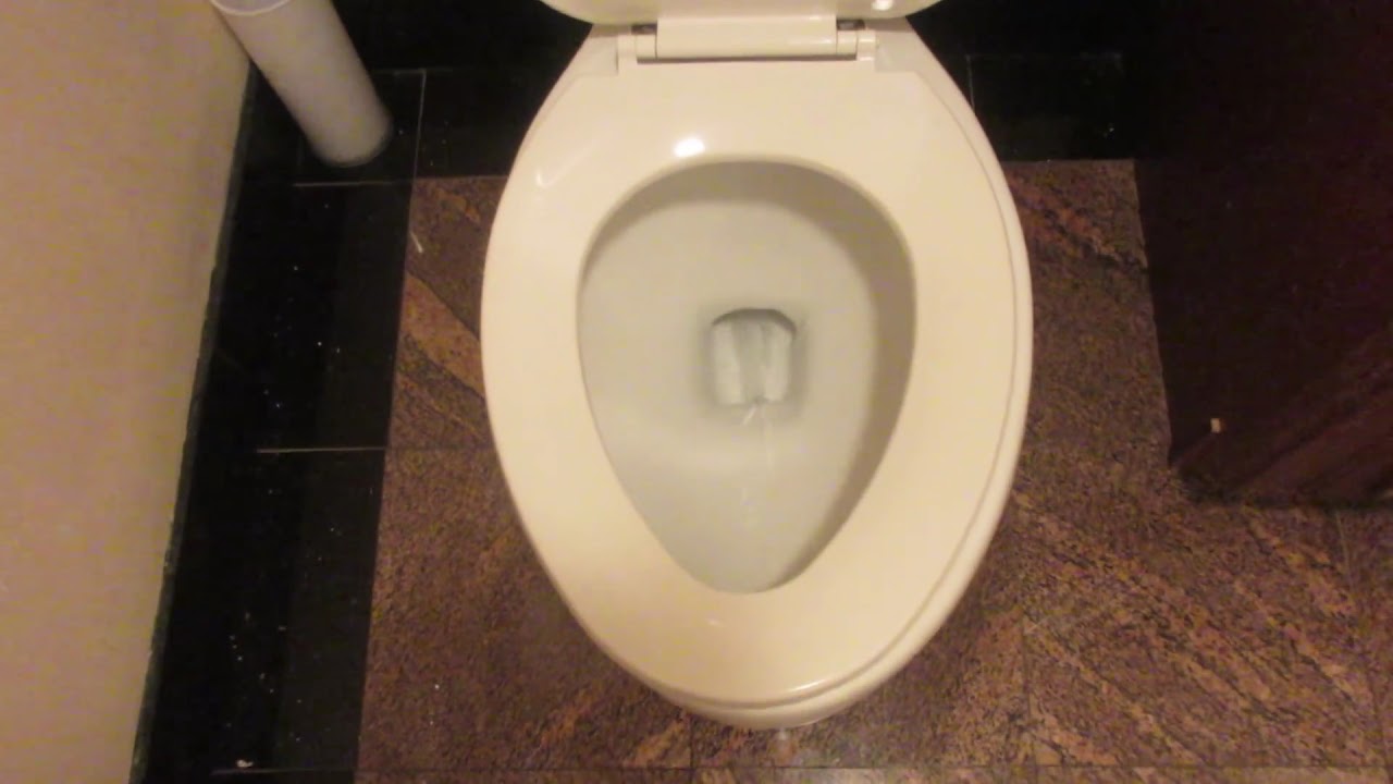 glacier bay vacuum assist toilet