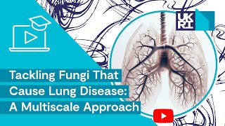 Tackling Fungi That Cause Lung Disease | A Multiscale Approach
