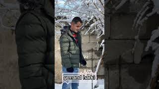 grmand harki dwat harki2023