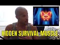 David Goggins Stretching (PSOAS) The Hidden Survival Muscle