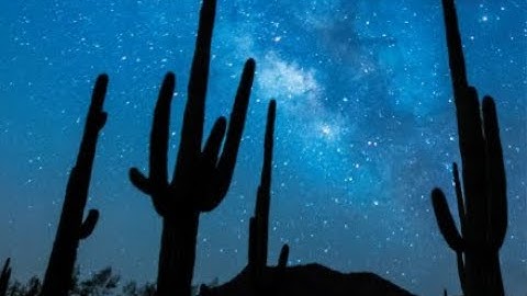 Globe at Night with South Butler Library