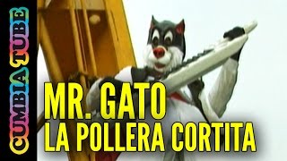 Video thumbnail of "Mr. Gato - La Pollera Cortita"