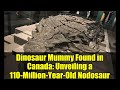 Dinosaur Mummy Found in Canada: Unveiling a 110-Million-Year-Old Nodosaur