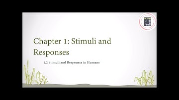 Science | Form 3 | Chapter 1 - 1.2 Stimuli and Responses in Humans (Part 4)