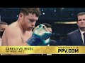 PPV.COM: Canelo vs. Bivol - May 7, 2022