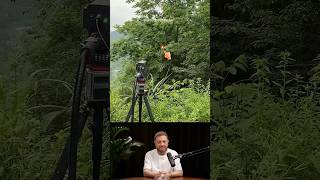 💰 เครื่องเลเซอร์ตัดต้นไม้ ธุรกิจบริการรายได้สูง