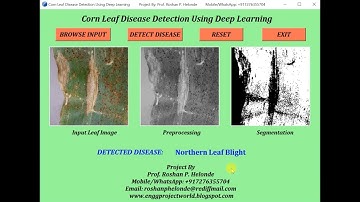 Corn Leaf Disease Detection Using Deep Learning | Python Project Source Code | Plant Disease Detect