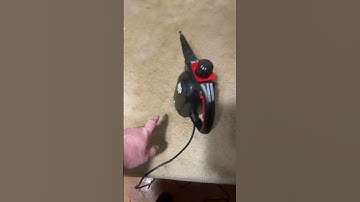 How to Get Rid of all Bed Bugs in 24 Hours GUARANTEED! #shorts