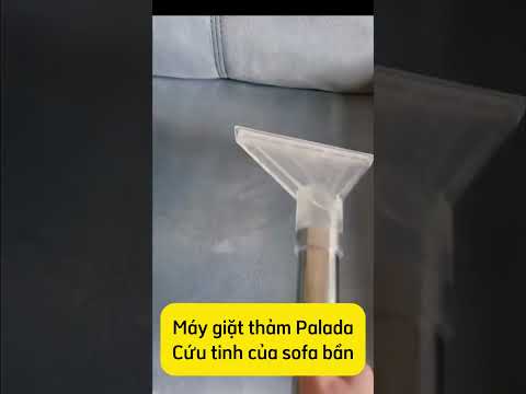Máy giặt thảm Palada | Hút bụi, phun nước, sofa sạch tinh tươm