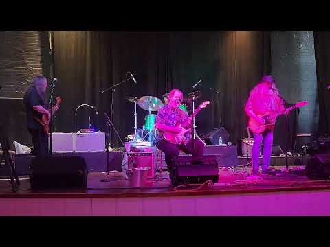 Buddy Whittington - Somebody Else Been Shakin' Your Tree|  ZZ Top COVER | Live