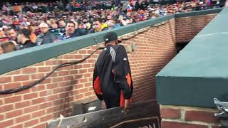 Baltimore Orioles front row seats at Camden Yards