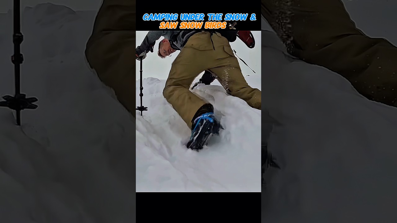 Camping Under the snow & Saw Snow Birds 🦢 