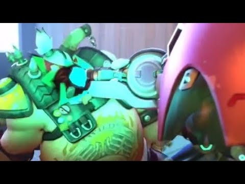 Hog Rework D.Va in the Hog Rework - YouTube