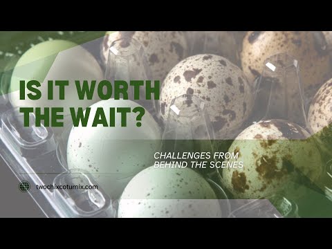 Is it worth the wait?