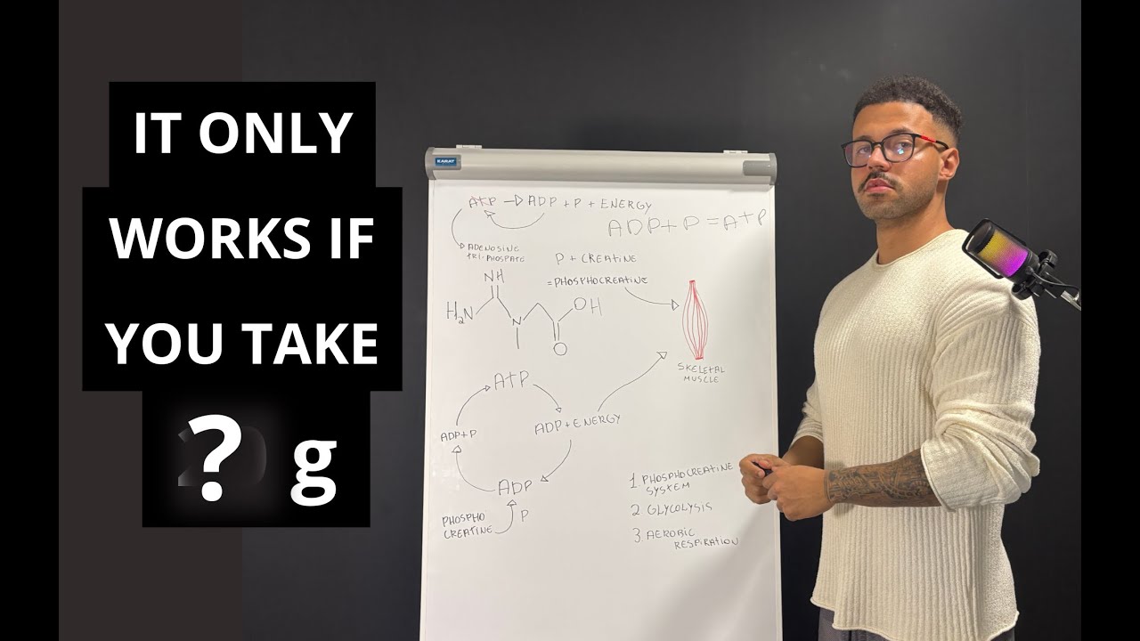 I Analyzed 87 Articles on Creatine and Found This