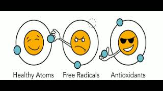 Study On Zinc Its Functions