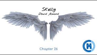 Year 5 English, Skellig - Chapter 26