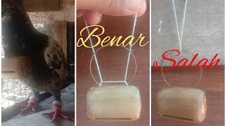 CARA MEMASANG SAWANGAN KALUNG MERPATI YG BENAR