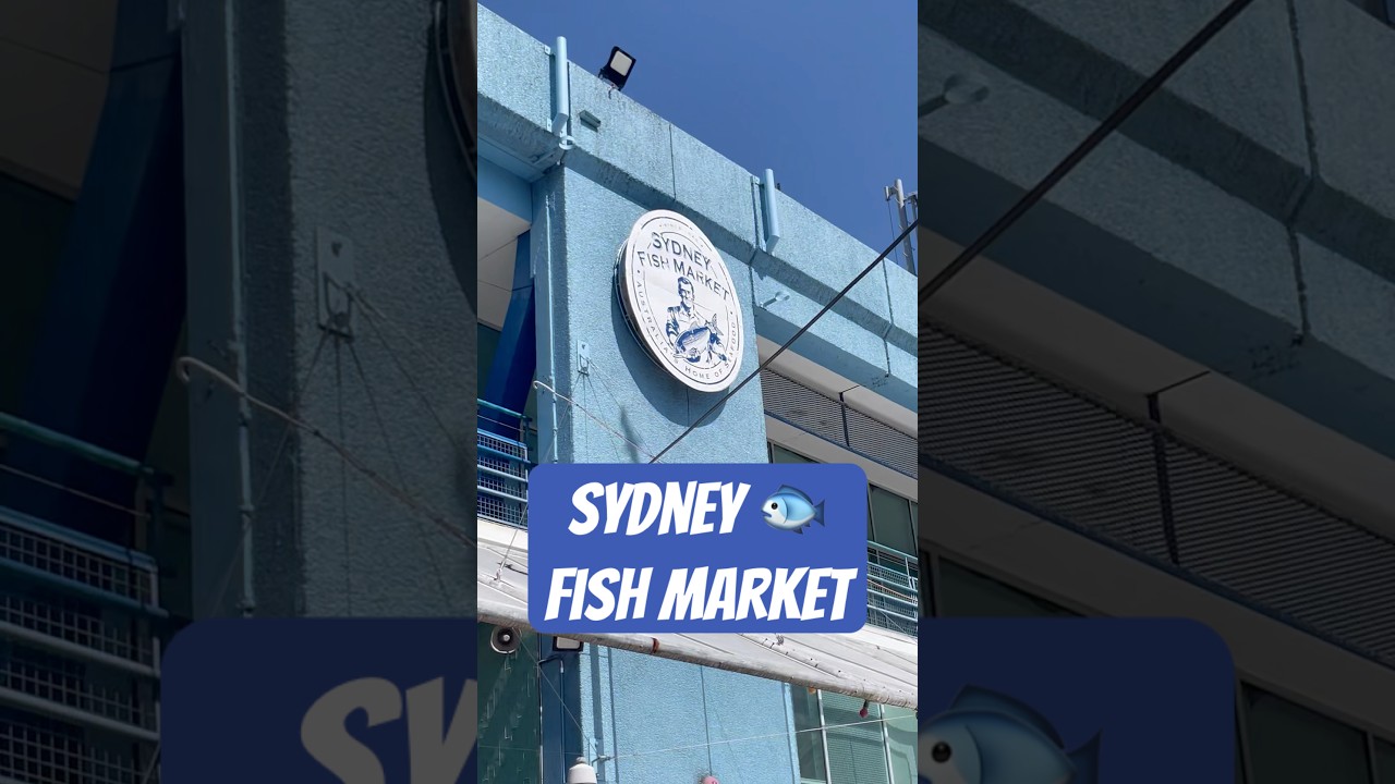 This is Sydney Fish Market 🐟 