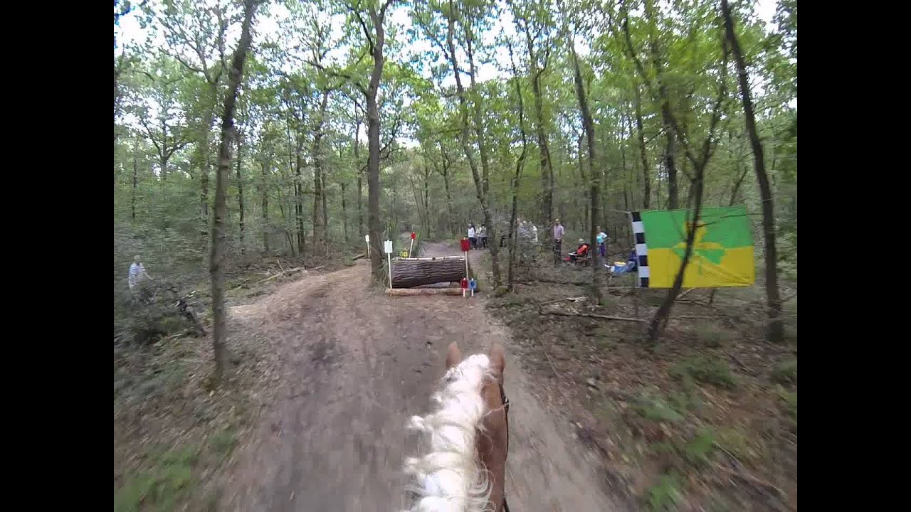 Standing Ovation L SGW Norg