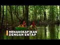 Menangkap Ikan Dengan Entap | SI BOLANG (16/02/24)