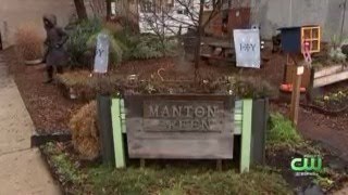 Philadelphia Nonprofit Uses Recycled Christmas Trees To Create Green Space For Residents To Enjoy
