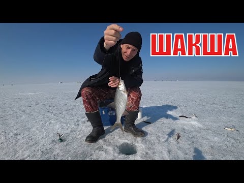 ОЗЕРО ШАКША В