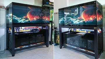 [Trailer] HỒ CÁ CÔNG NGHỆ PHÔNG ĐEN chơi Huyết tại Quận 6 | 3 Màu ống Sanking cực đẹp