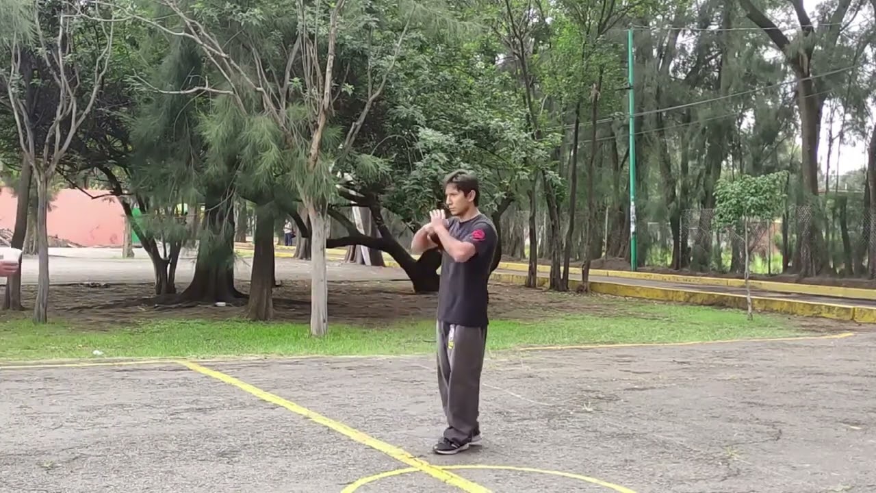 Repasando las formas de IWCO Wing Chun 