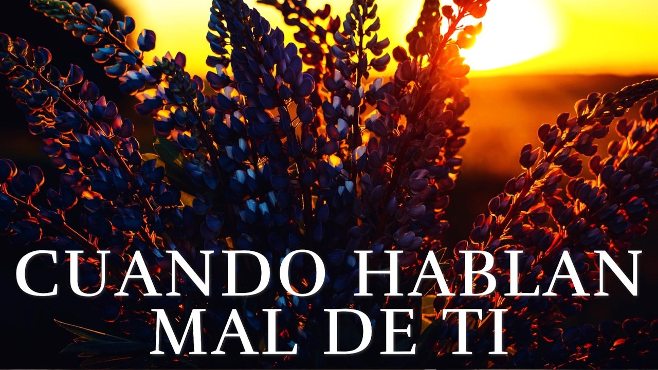 No Importa Lo Que Digan ¦ (Amor Propio) (Autoestima)