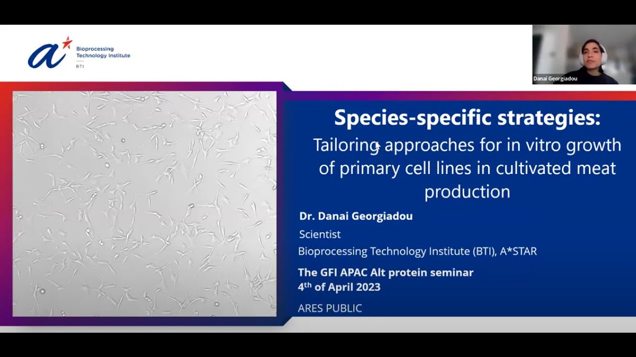 Tailoring approaches for in vitro growth of primary cell lines in cultivated meat production