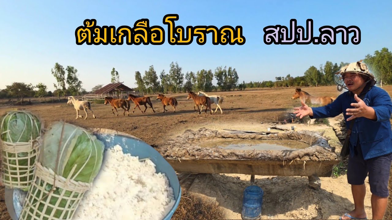 #เที่ยวลาว อาชีพรองจากทำนาคือต้มเกลือ แวะตลาดข้างทางบ้านป่าไร่ เมืองไชพูทอง #แขวงสะหวันนะเขต #สปปลาว
