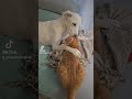А мы и не ссорились!