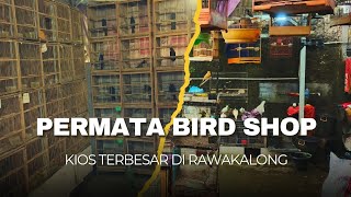 KIOS PERMATA MENJUAL BERANEKA RAGAM BURUNG ENDEMIK \u0026 KICAUAN