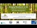 Coed Lleol | Bringing Woodlands to Life: A Beginner's Guide to Woodland Management