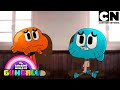 Gumball y Darwin deben ser honestos | El Increíble Mundo de Gumball en Español Latino | CN