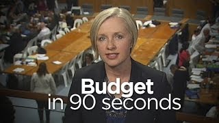 The Budget in ninety seconds