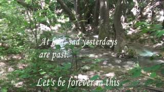 Tony Steas Adsdentiste, Evy Hannes - Celestial Sigh Hang Massive Once Again