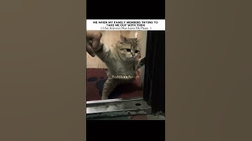 introvert asf #baddiexxthetic #trending #viral #aesthetic #100kviews #trend #kpop #introvert