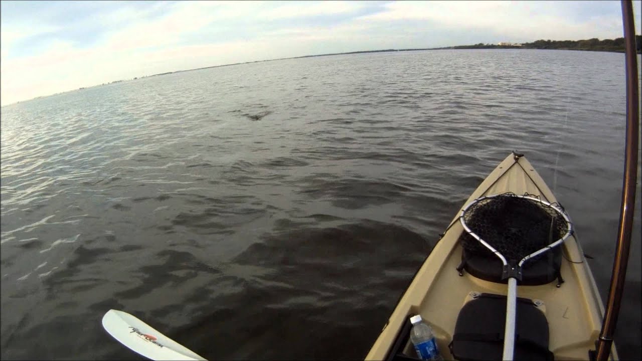 Kayak Flats Fishing 10152011 YouTube