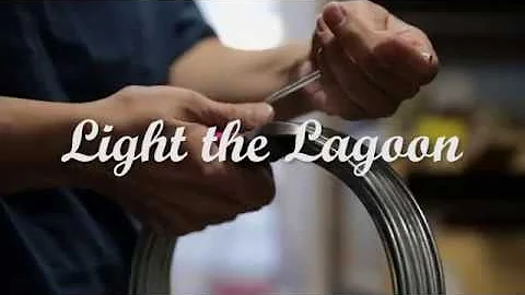 Light the Lagoon 2019