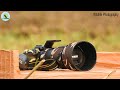 Wildlife Photography Vlog 4। Behind the scenes wildlife photography । 2022 Wildlife Photography