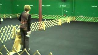 Brenda And Nova Nashville Dtc Winning Open B For 2Nd Leg